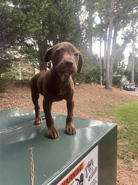 Holly Ava Onlyfans Leaks - King Ice Apps