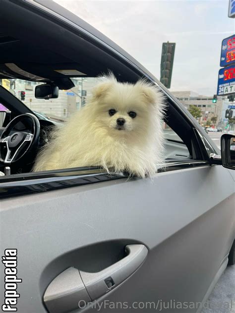 Julia Sandoval Onlyfans Leaks - King Ice Apps