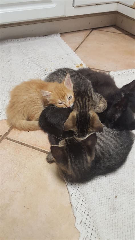 Milena Grace Onlyfans Leaked - King Ice Apps