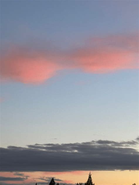 Tinyyyyyk Onlyfans Leaks - King Ice Apps