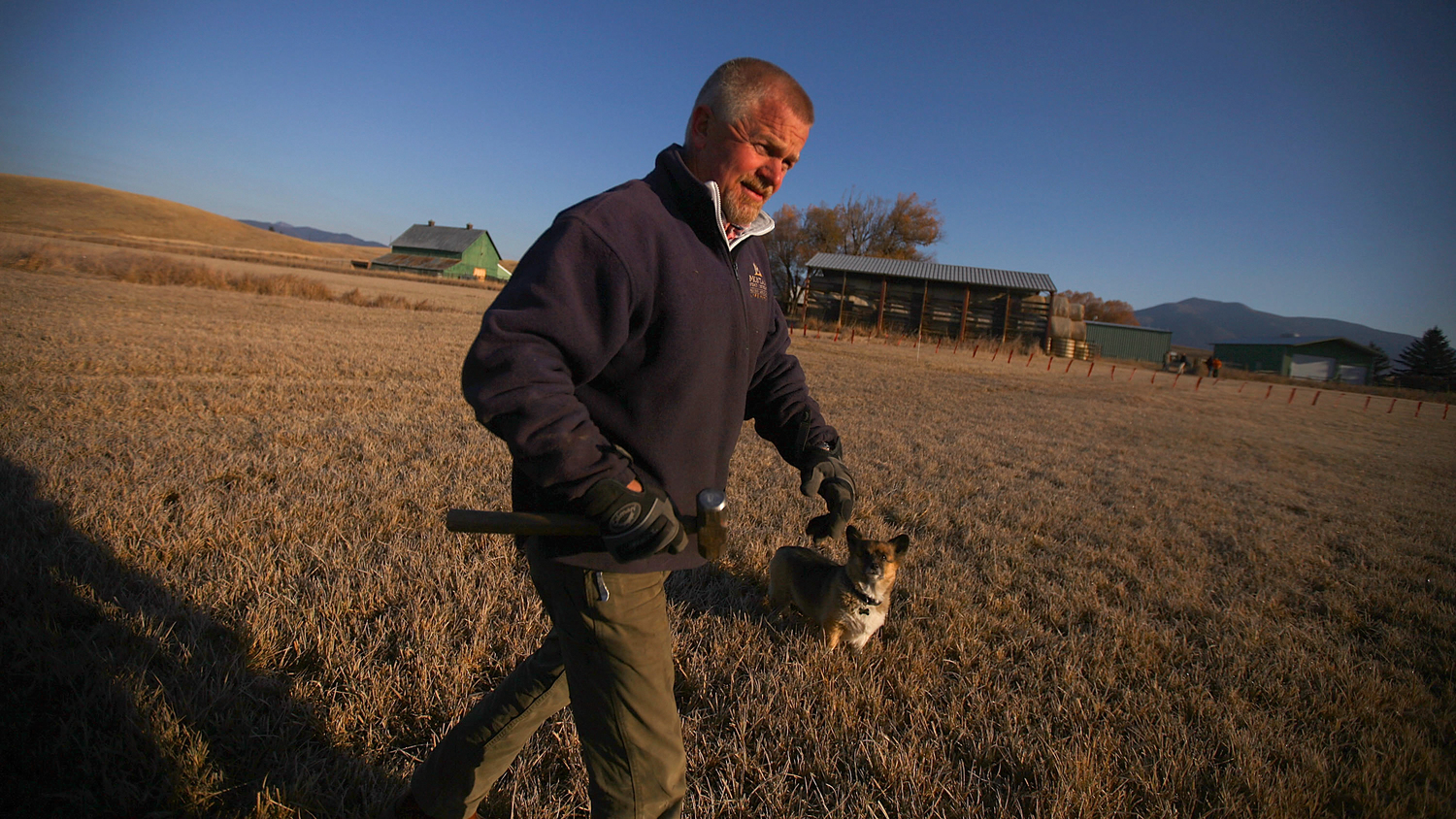 Wolves At The Door NPR