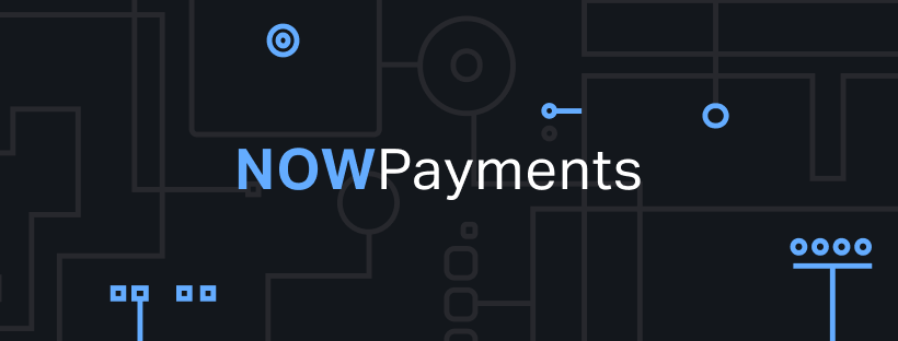 Crypto Transactions Are Now Made Easier With Now Payments Apps400
