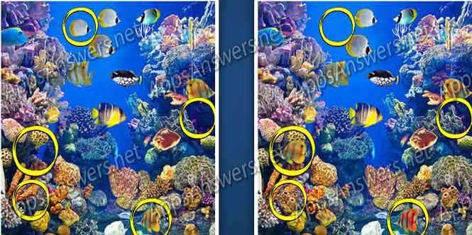 Find The Differences Level 149 Answers Apps Answers