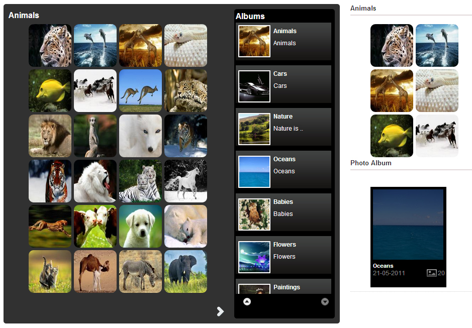 Create An Amazing Photo Gallery On Your WordPress Site With Mac Gallery