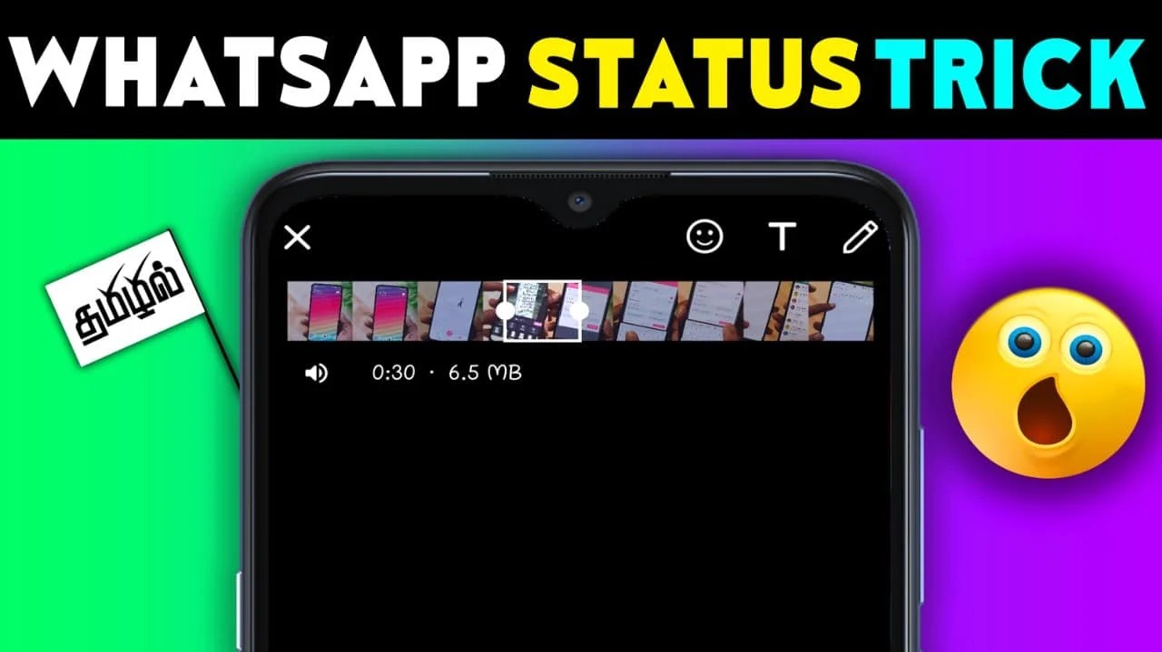 What Is The Role Of Status Videos On Social Media? » App TN