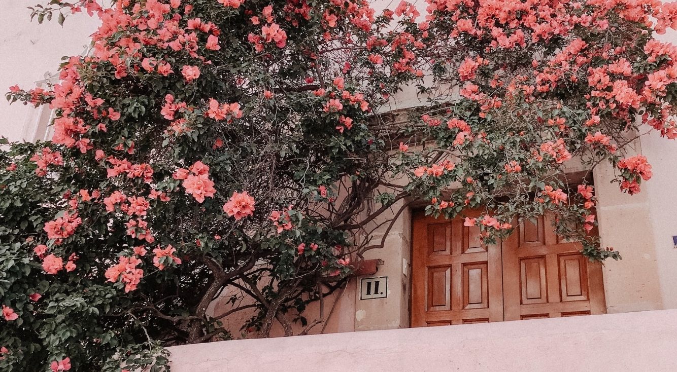 【Googleマップ】「現在地の共有」機能が超便利！使い方を解説 APPTOPI