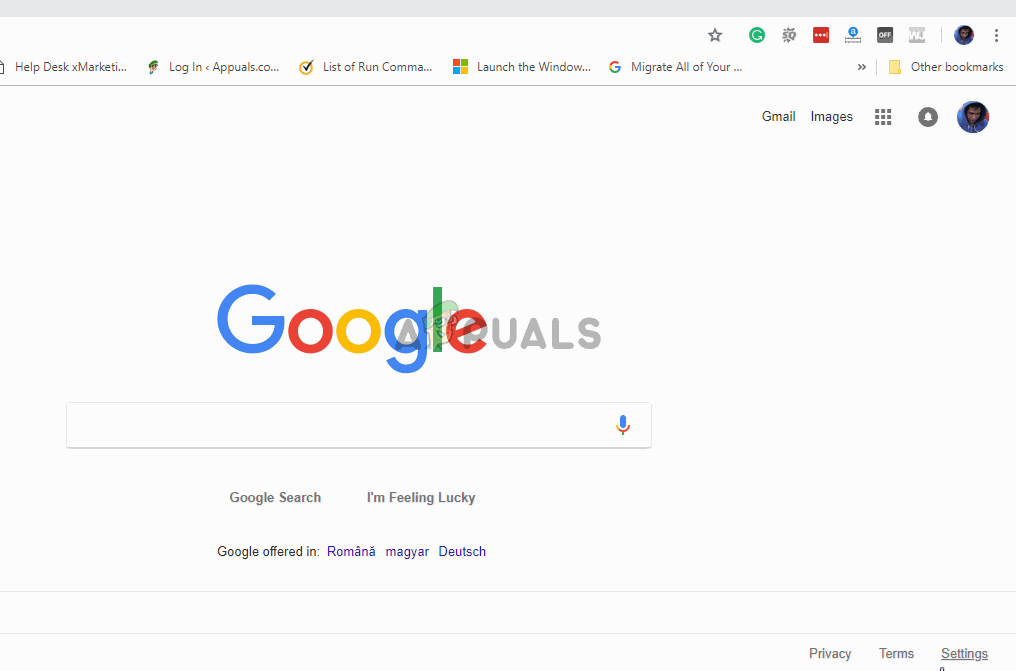 Fix GL is Not Supported