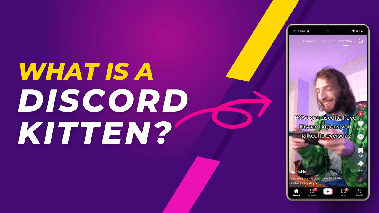 What is a Discord Kitten and How to One? [2024]