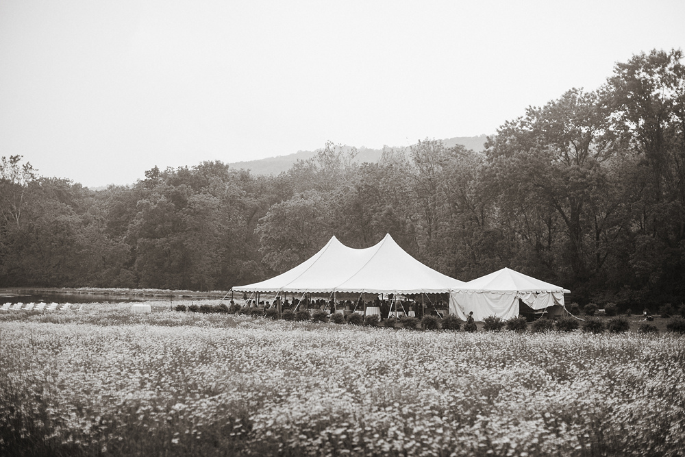 How To Rent A Wedding Tent (Plus Prices) A Practical Wedding