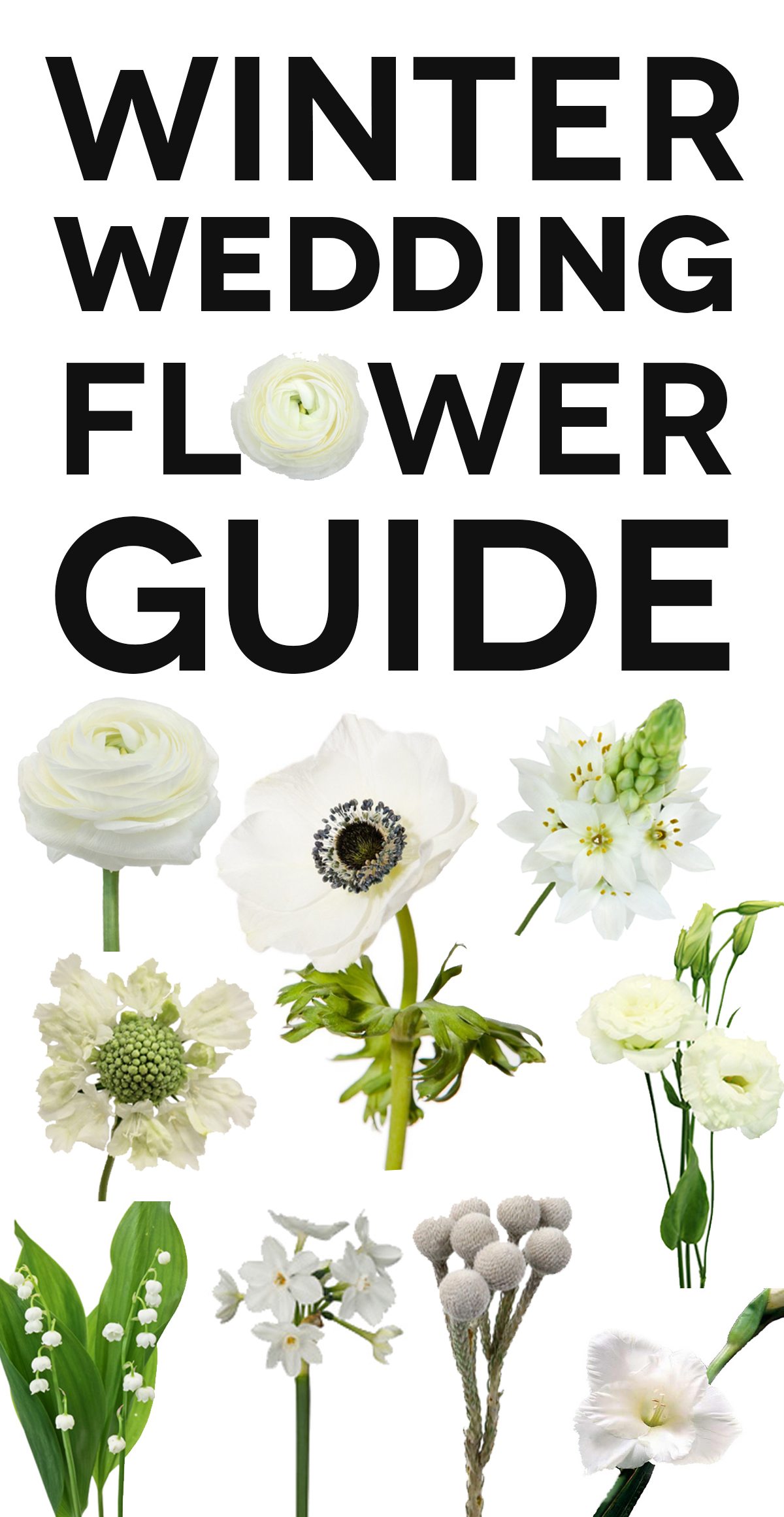 You Might Want These 10 Winter Flowers in Your Bouquet A Practical