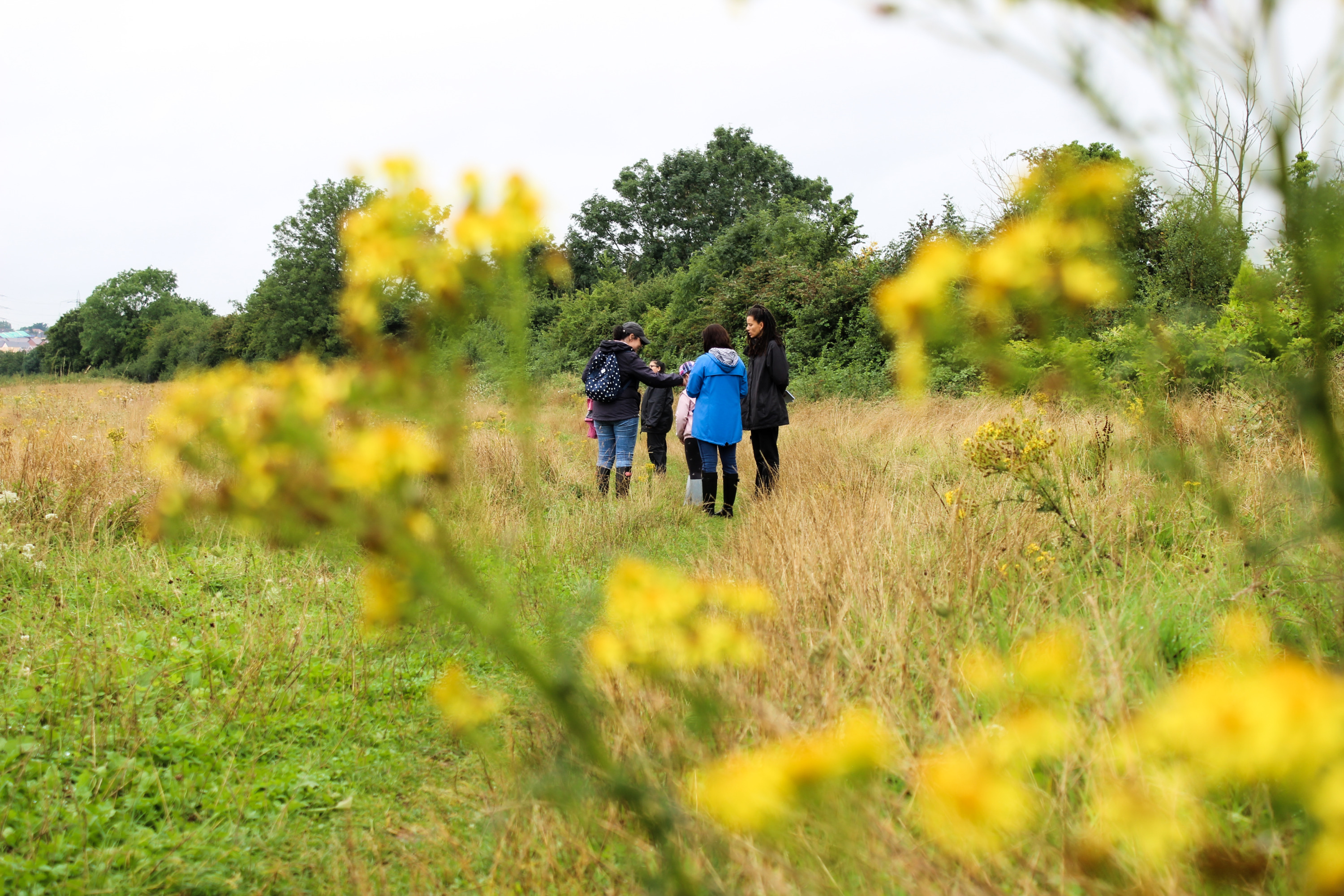 Home Sweet Home Roseneath Gardens Art and the Public Realm Bristol