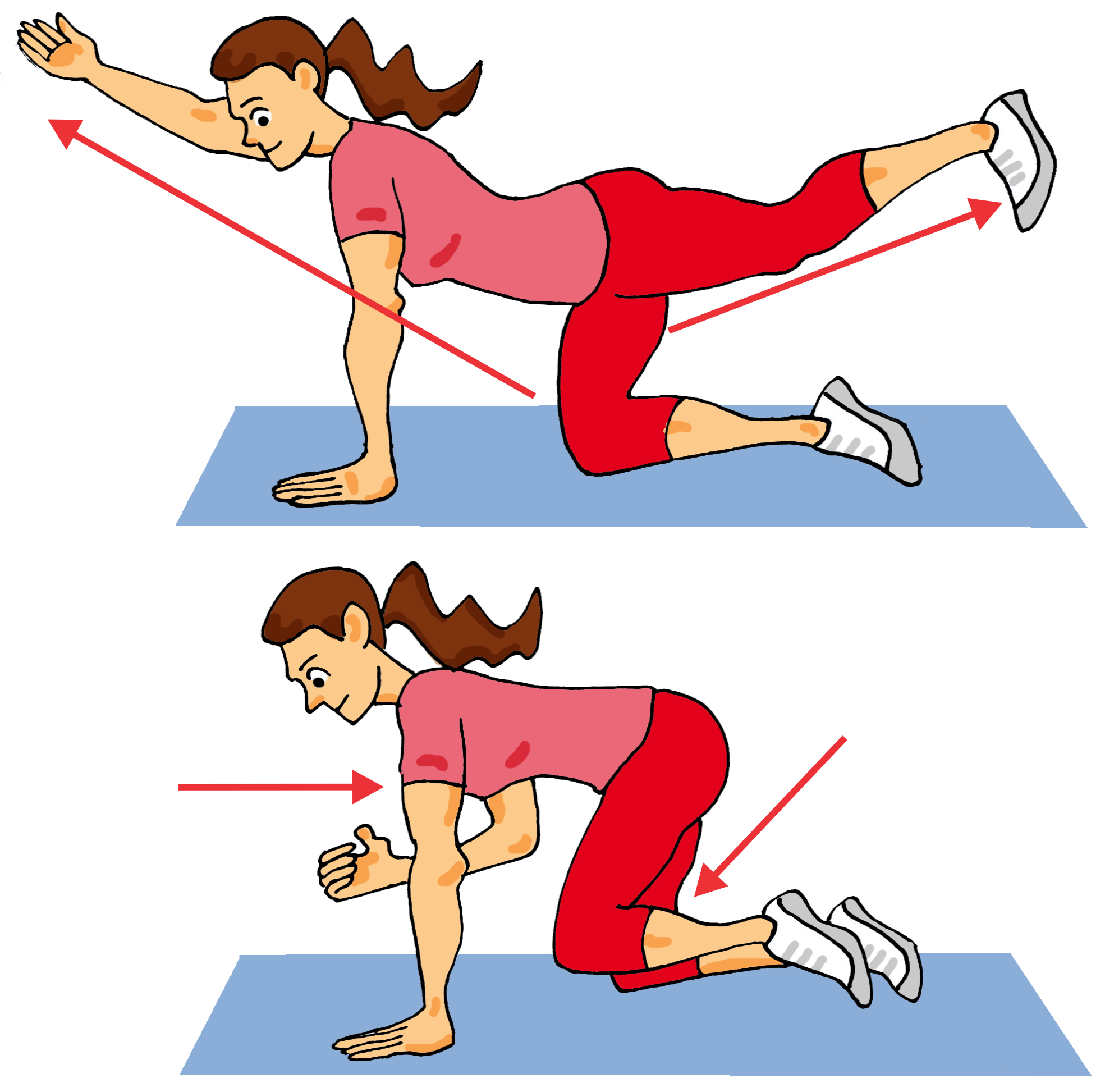 EJERCICIOS PARA ABDOMEN ALTO. Fundación Aprende con REYHAN