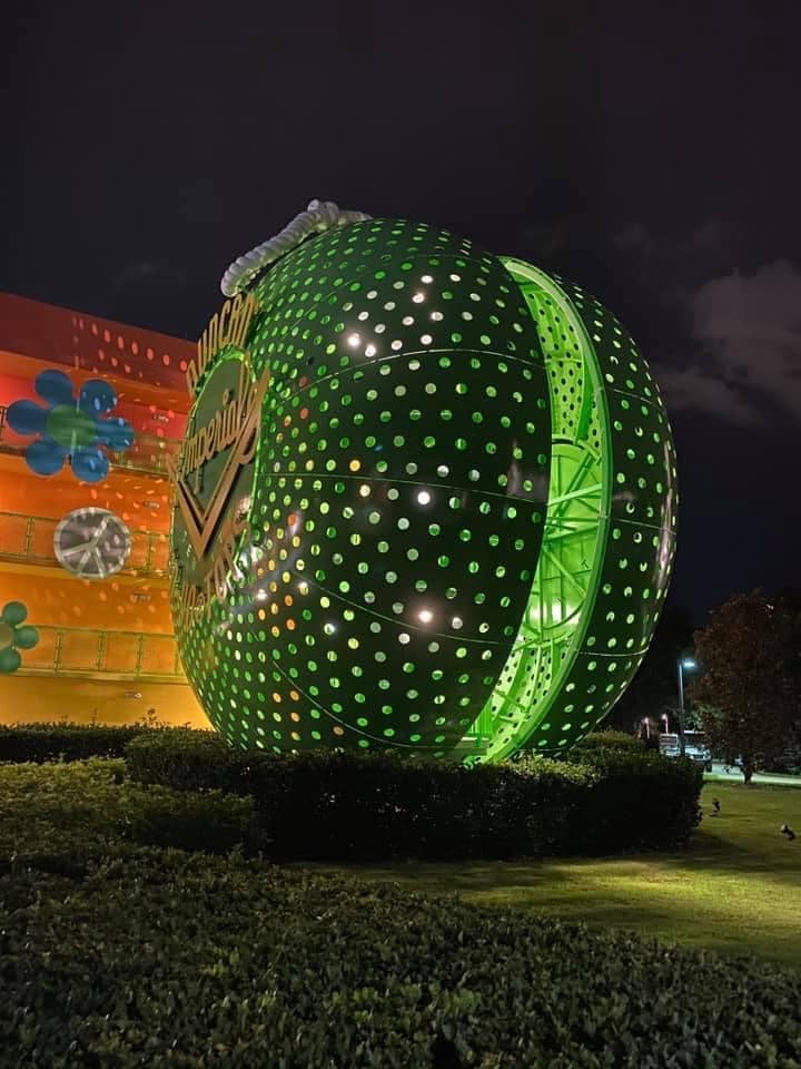 Visiting the Walt Disney World Resorts at Christmas A Princess and