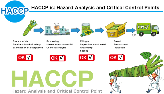 I Corsi Haccp On Line Sono Validi? Le Nuove Sentenze Dicono Di Sì | Aprire Un Bar 330_x_575_png