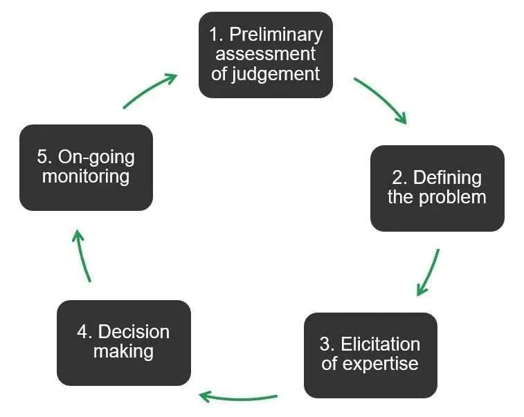 Actuarial Solutions Shining the Spotlight on Expert Judgement