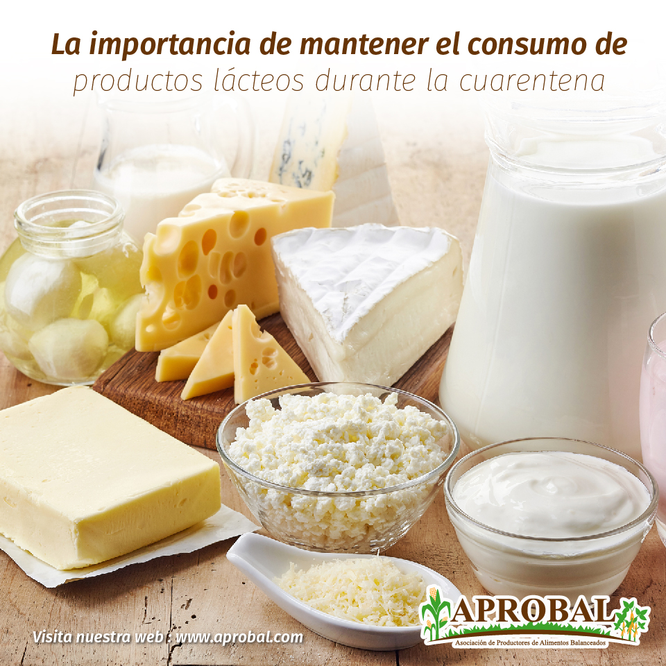 LA IMPORTANCIA DE MANTENER EL CONSUMO DE PRODUCTOS LÁCTEOS DURANTE LA