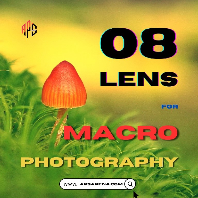 Best Lenses for Macro Photography 2023