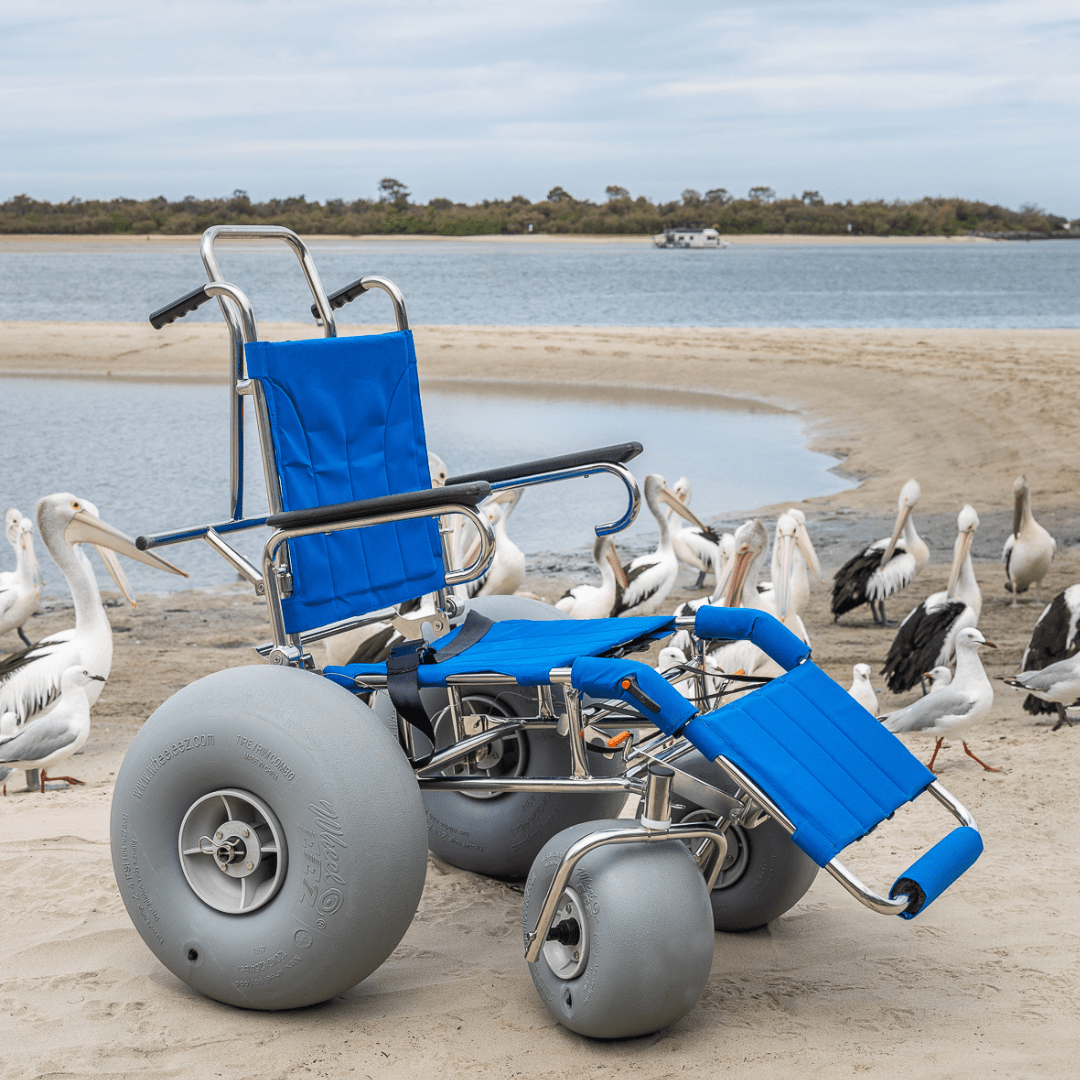 Hammer Head Electric Beach Wheelchair Asian Prime Sources Limited
