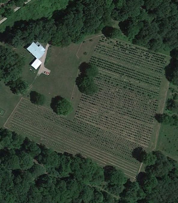 About Apsley Family Christmas Trees