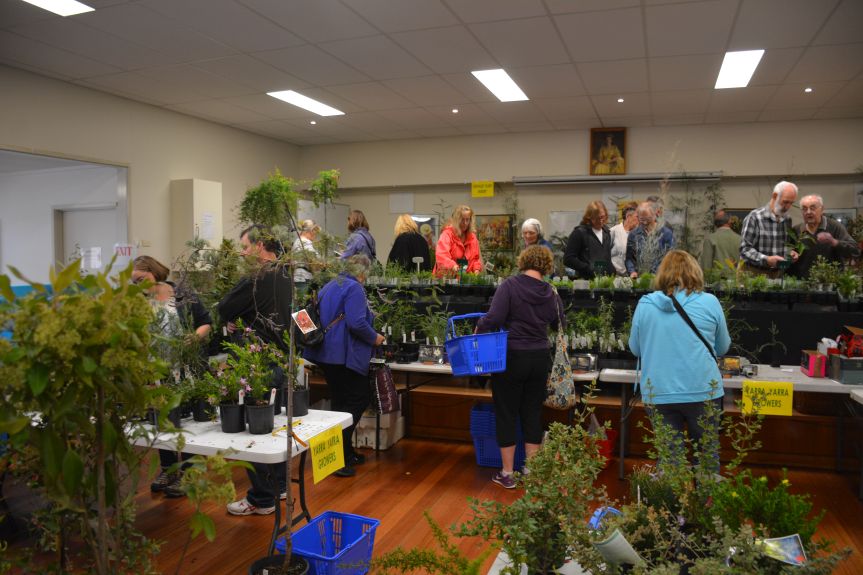 Some plant lists for our Native Plant and Book Sale Australian Plants