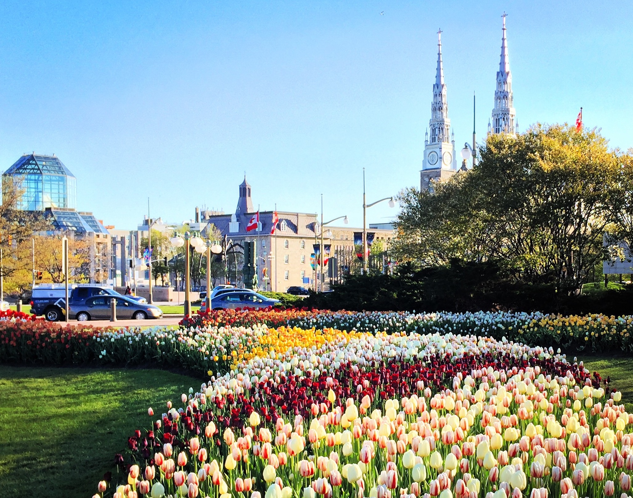 Where to enjoy the 2018 Canadian Tulip Festival Apartment613