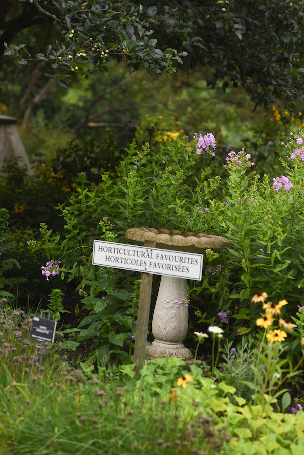 Ottawa’s best public gardens Fletcher Wildlife Garden Apartment613