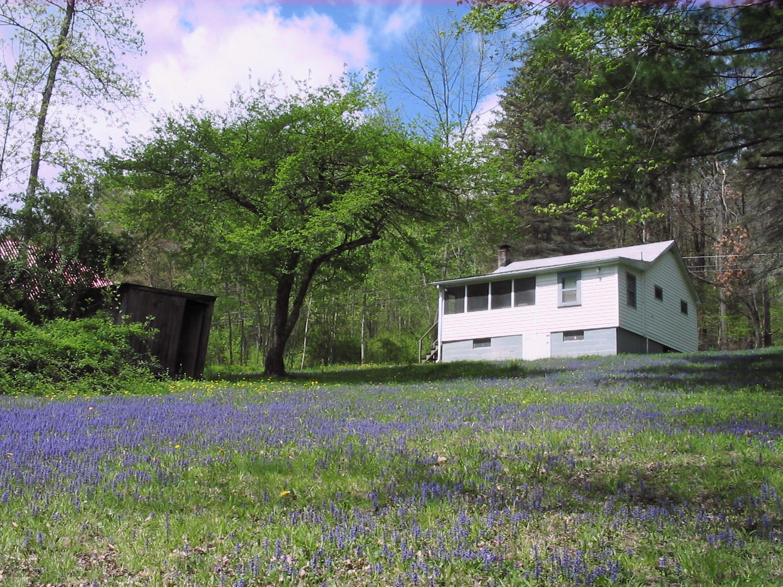 Cabin in the Wilds Pt III APT Outdoors