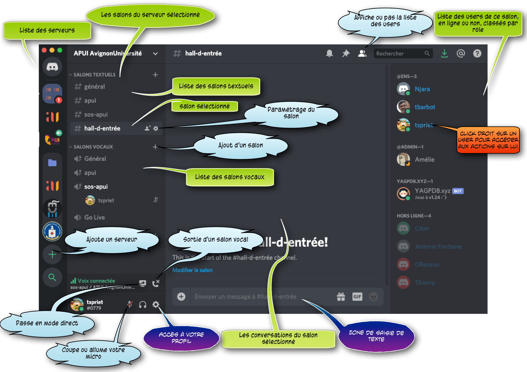 Utilisation de Discord Site de la mission APUI à Avignon Université