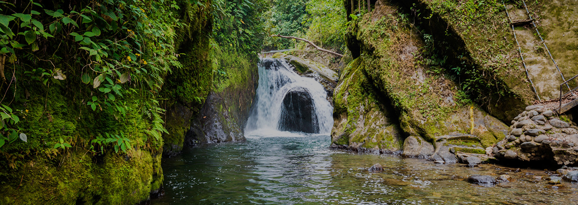 Mindo Bosque Nublado Expediciones Apullacta