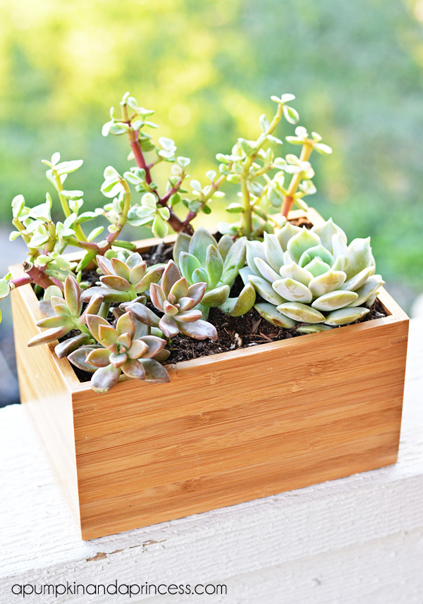 Succulent Planter Box {Ikea Hack} A Pumpkin And A Princess
