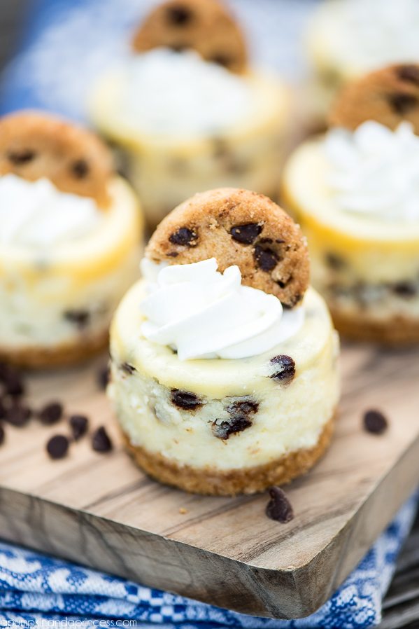 Mini Chocolate Chip Cheesecakes