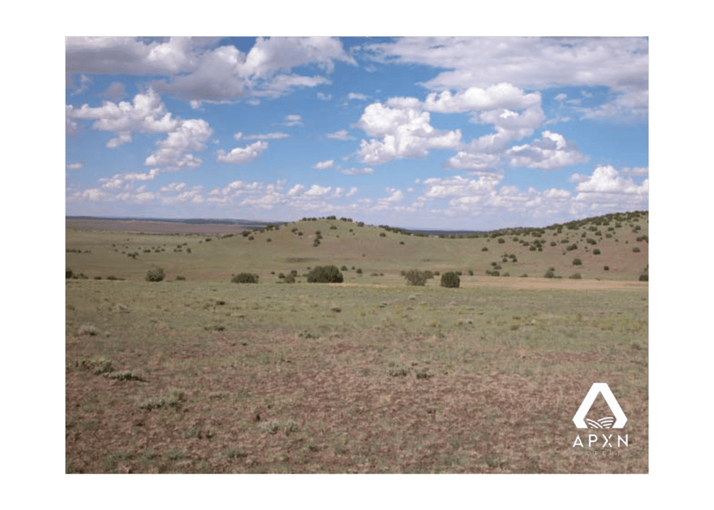 10.0 Acres for Sale in Apache County, AZ APXN Property