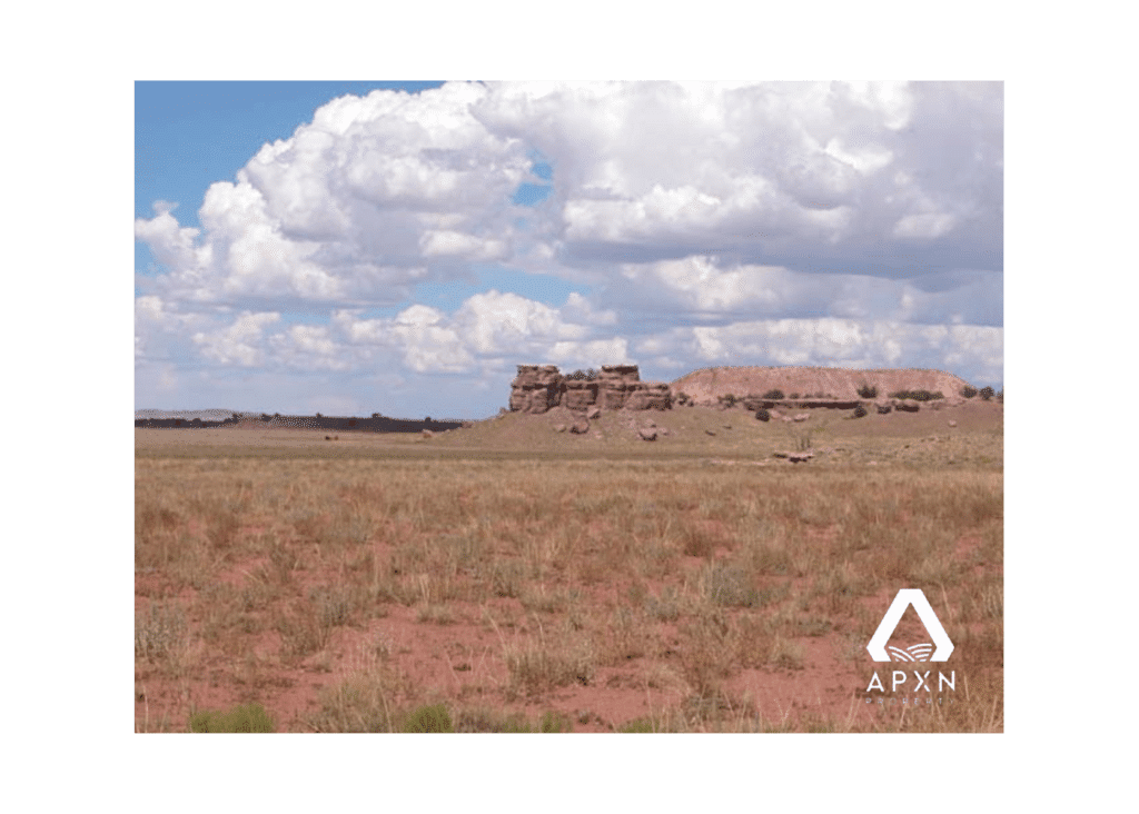20 Acres of Land for Sale in Apache County, AZ APXN Property