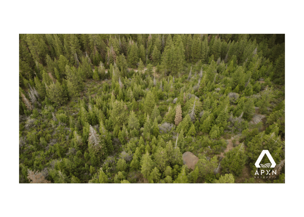 2.28 Acres for Sale in Klamath County, Oregon APXN Property