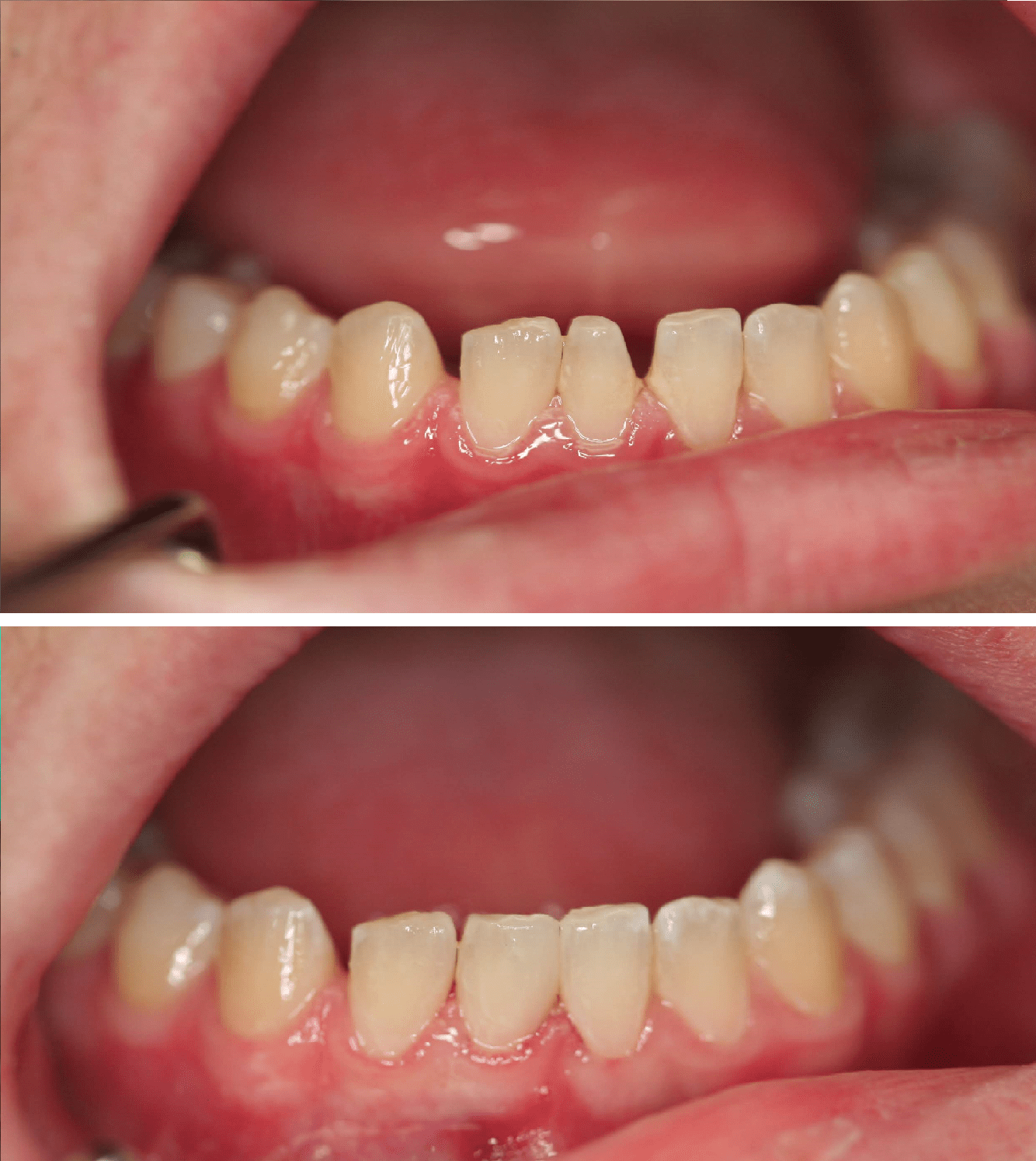 Services Asmara Qamar DDS