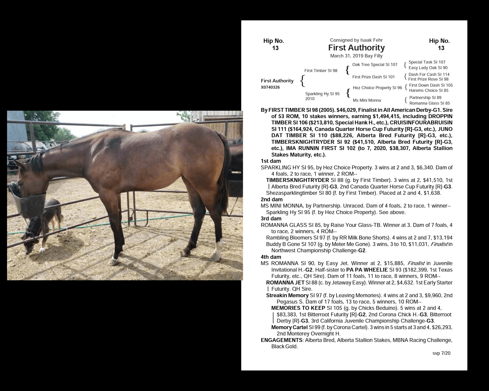 Annual Sale Alberta Quarter Horse Racing Association AQHA