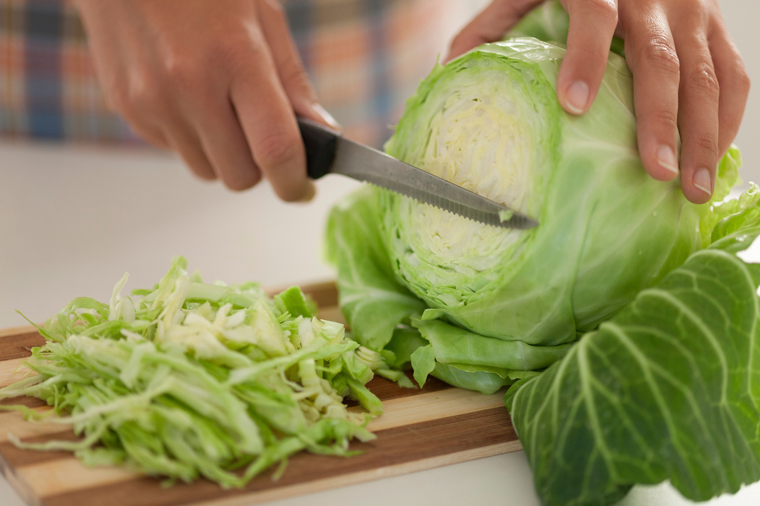 自炊初心者はキャベツを活用すべし！ 野菜の基本的な切り方とキャベツの活用法 AQレントマガジン