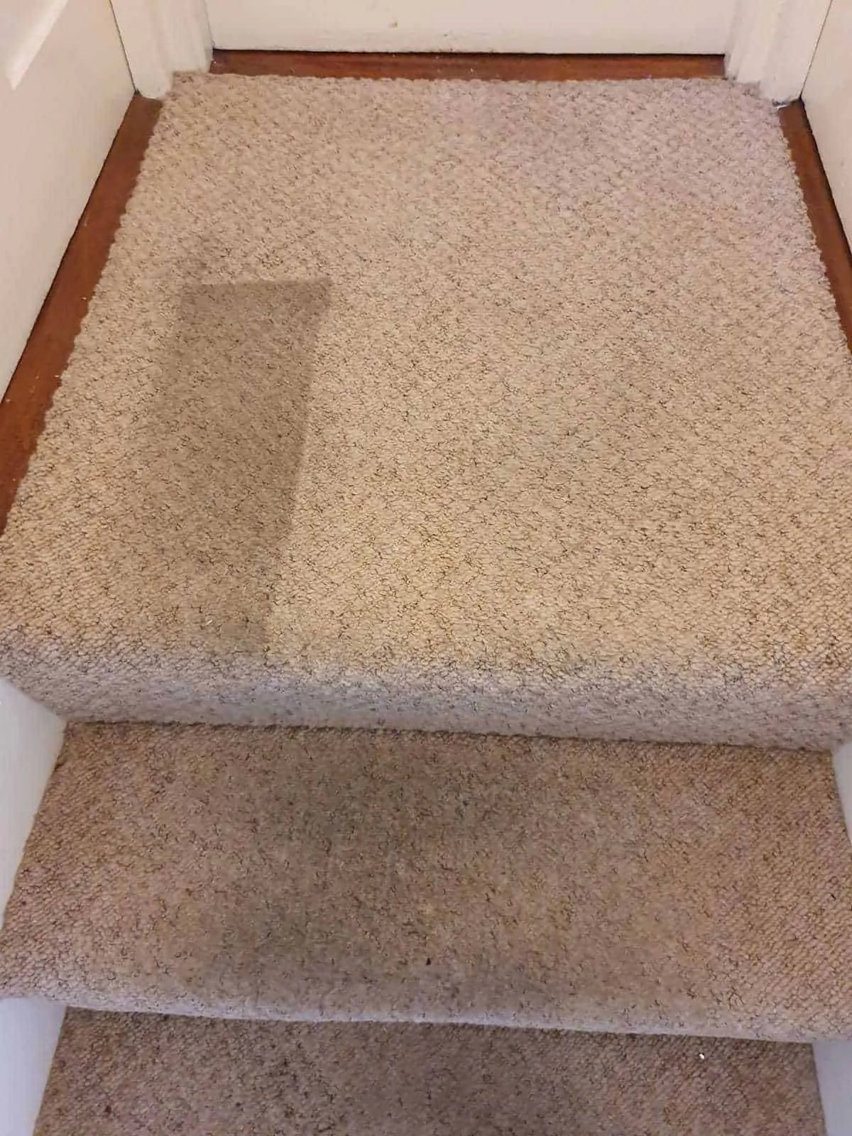 Carpet Cleaning Dublin Professional Cleaners Aqua Dry