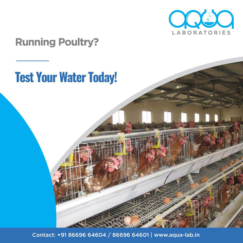 Water Testing, Analysis Lab Services For Drinking, Agriculture, School