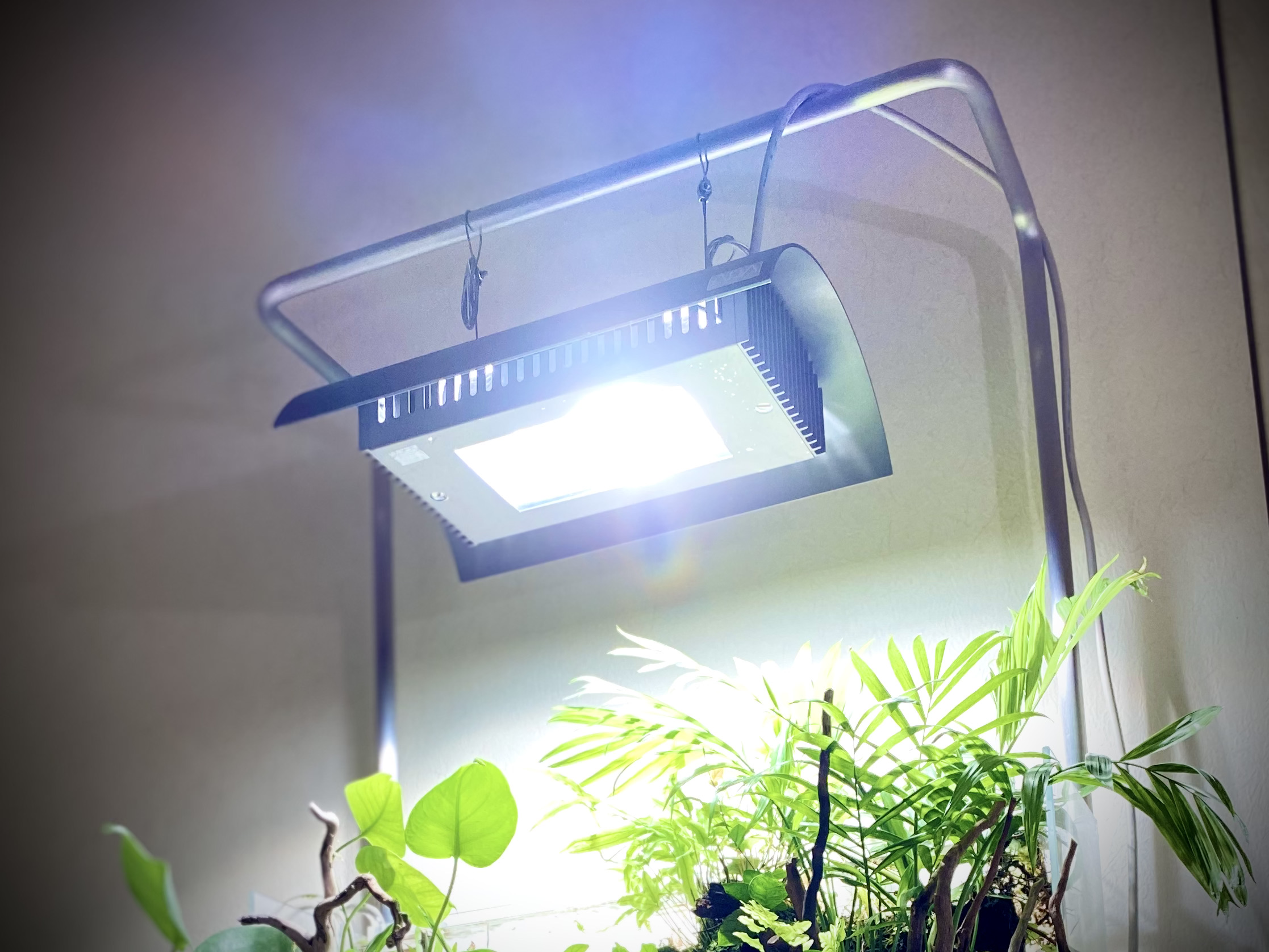 Comparing LED Grow Lights with Metal Halide Lights My Indoor Grow Systems