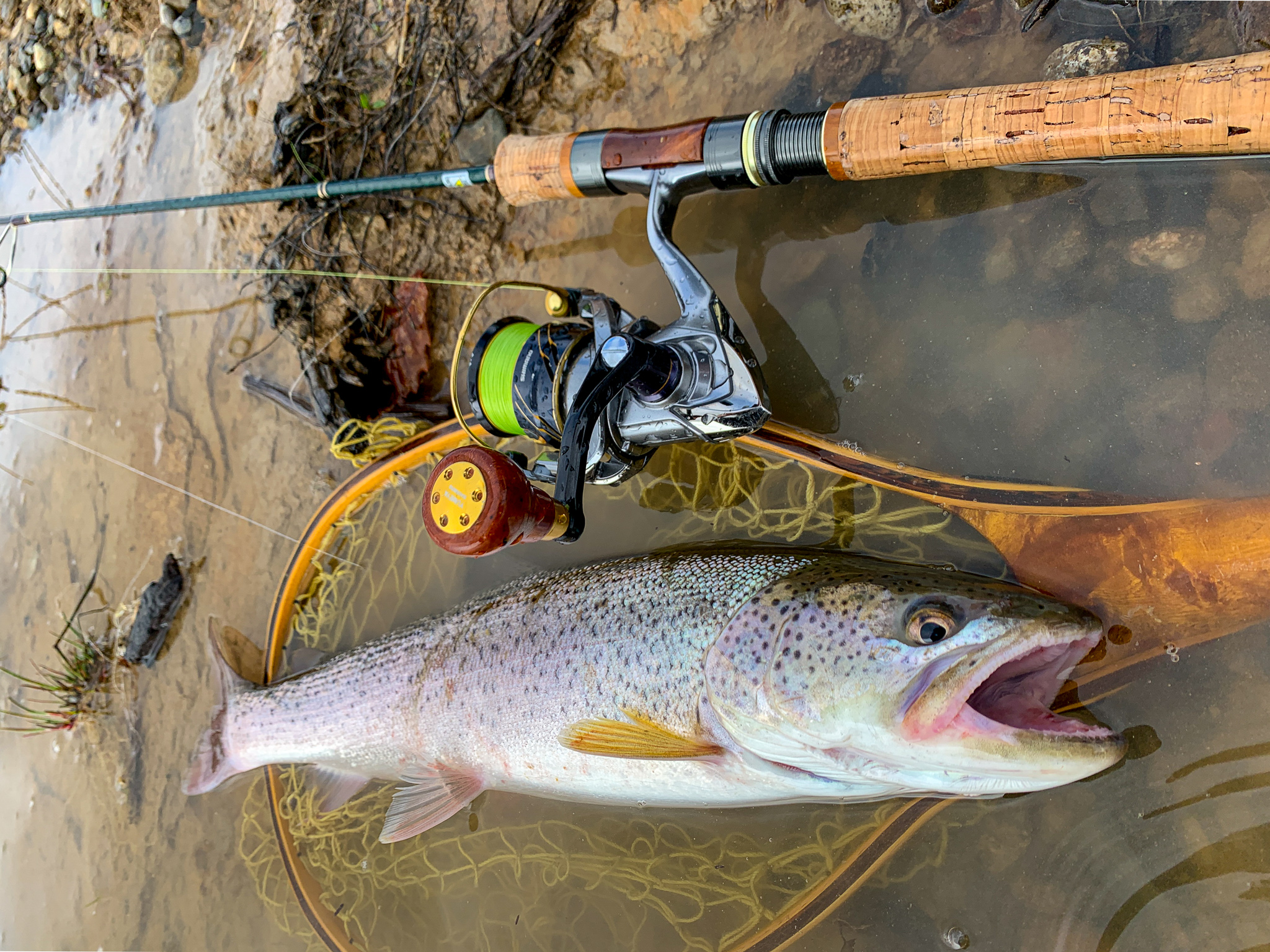 幻の魚「イトウ」が釣れる北海道の朱鞠内湖！地元民がおすすめルアー3選と釣れるトラウトの種類を解説 AQUABIT.LINK