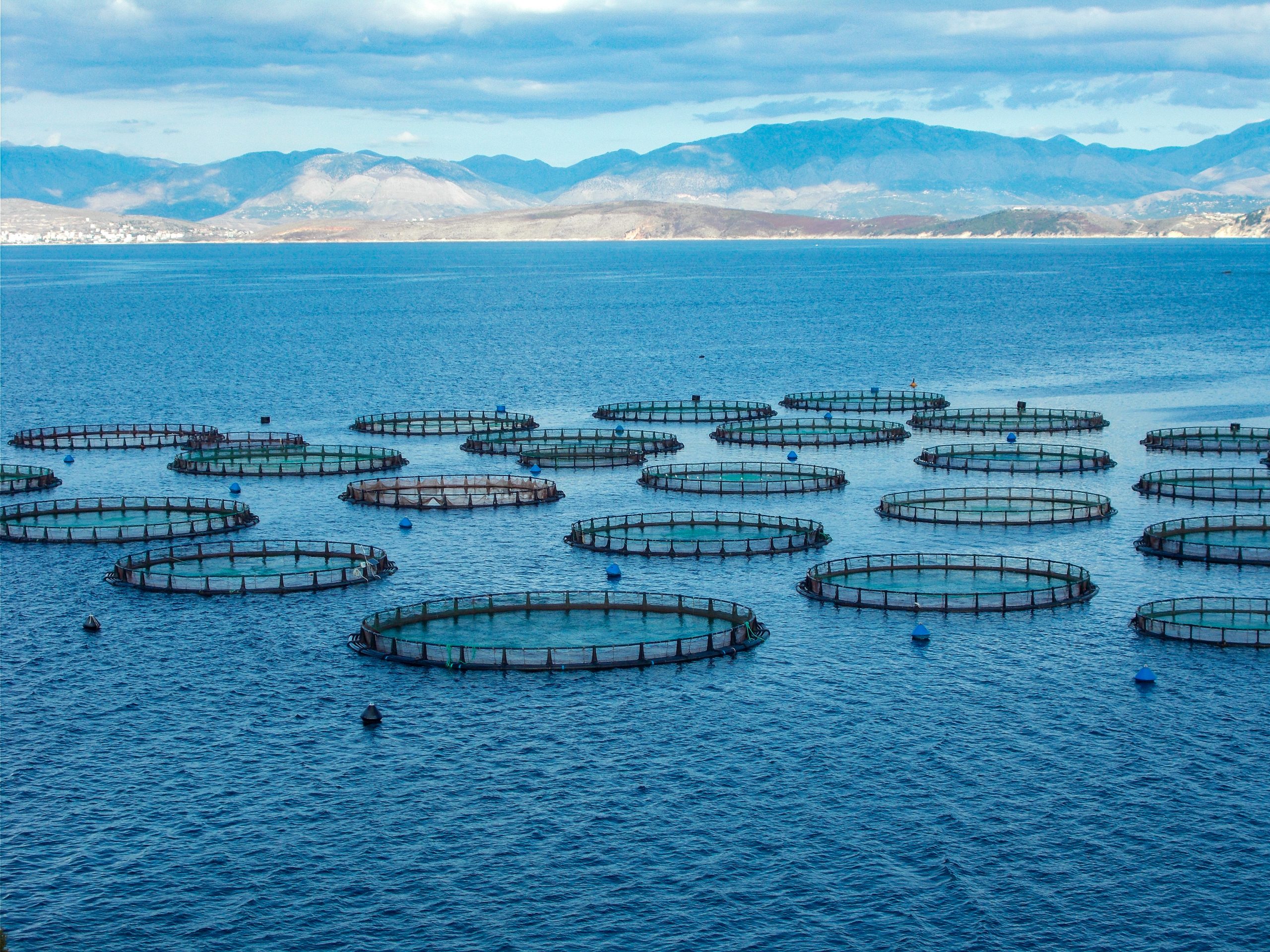 Cage Aquaculture AquaBioTech Group