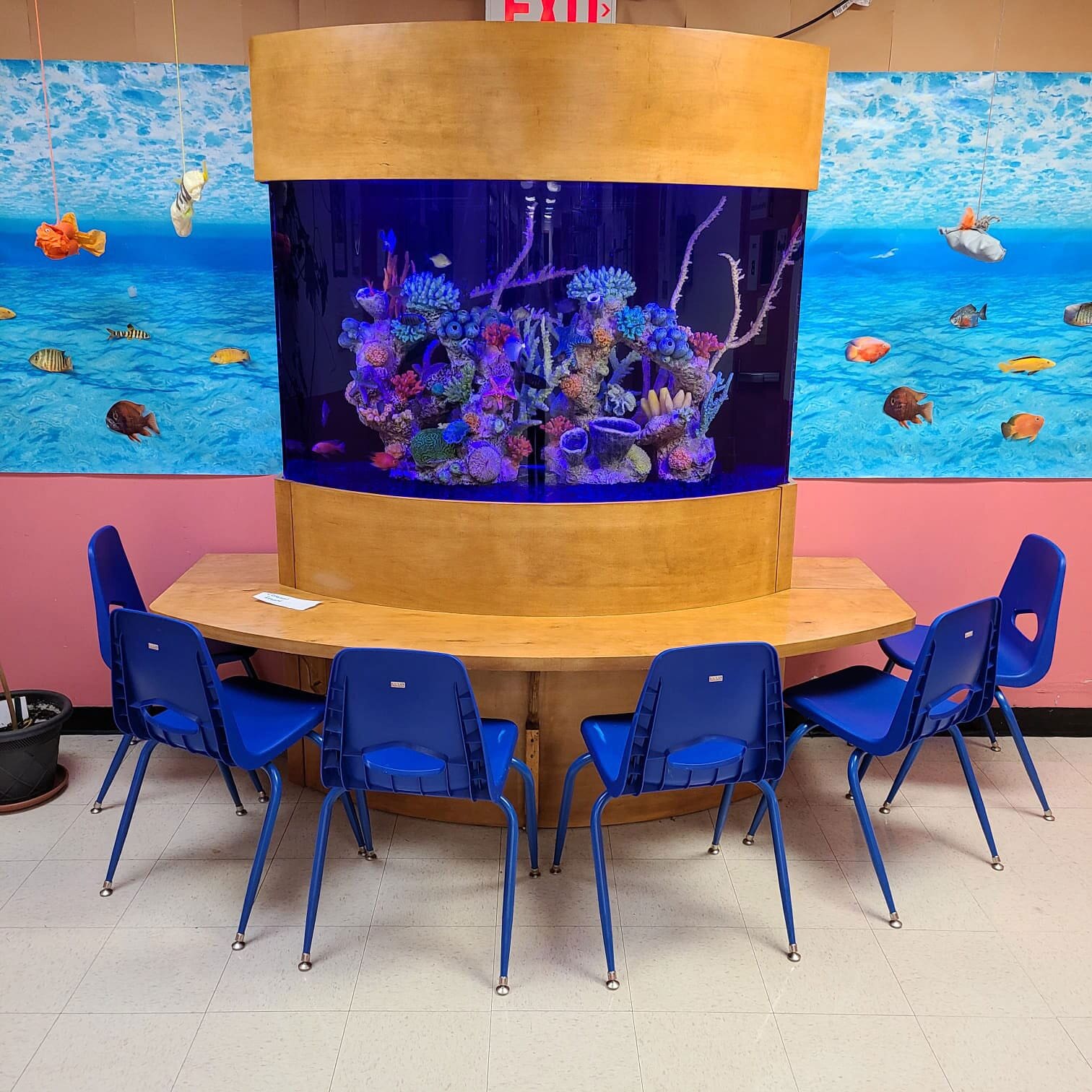 Custom Aquariums and Custom Fish tank in Deal NJ Aqua Custom Fish Tanks