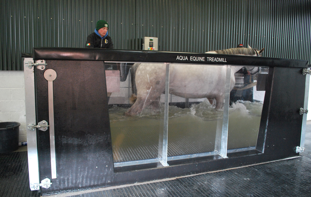 Aqua Equine Treadmill Power, Performance, Cardio fitness, Muscle building rehabilitation