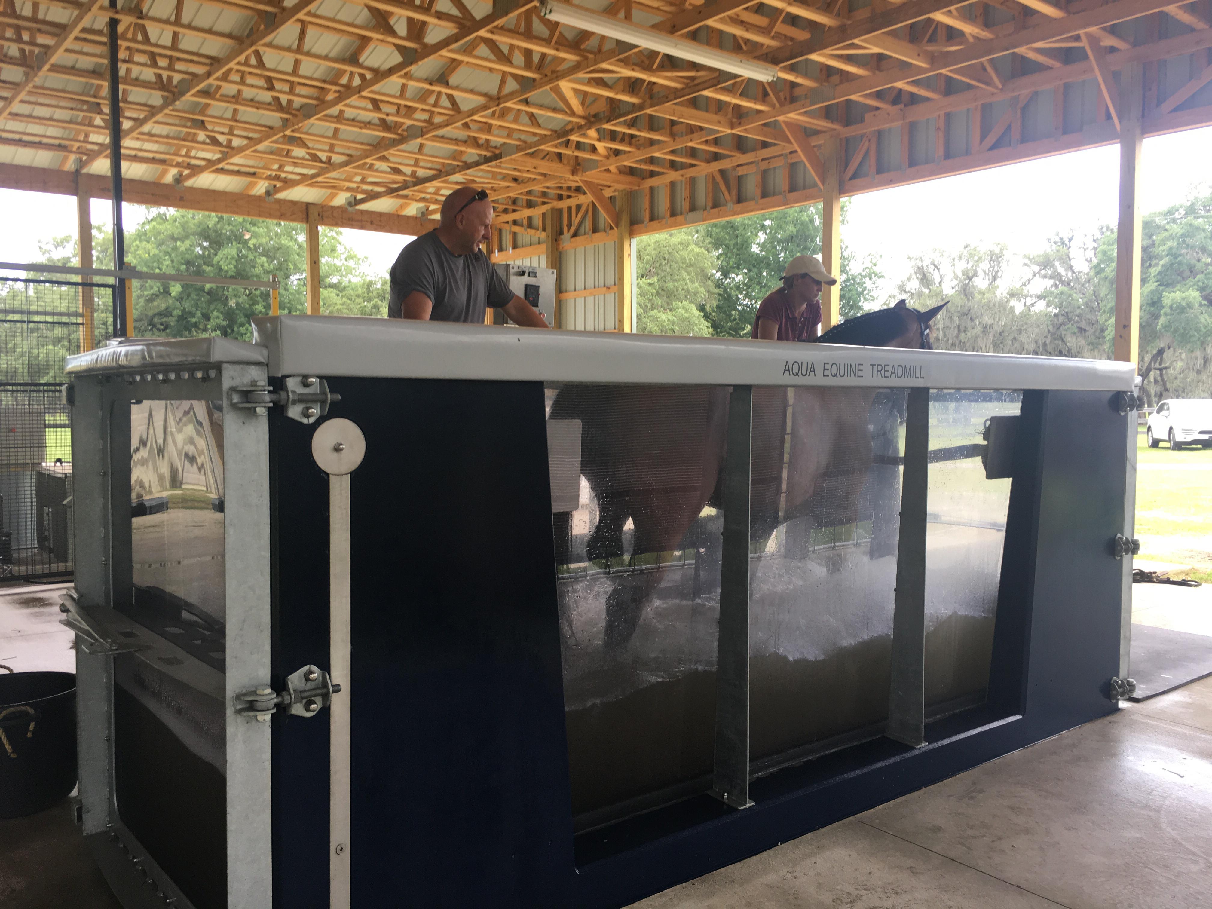 Aqua Equine Treadmill Power, Performance, Cardio fitness, Muscle building rehabilitation