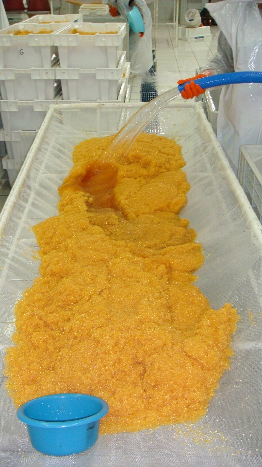 Flying Fish Roe High Quality Frozen Seafood Products Fish For Sale