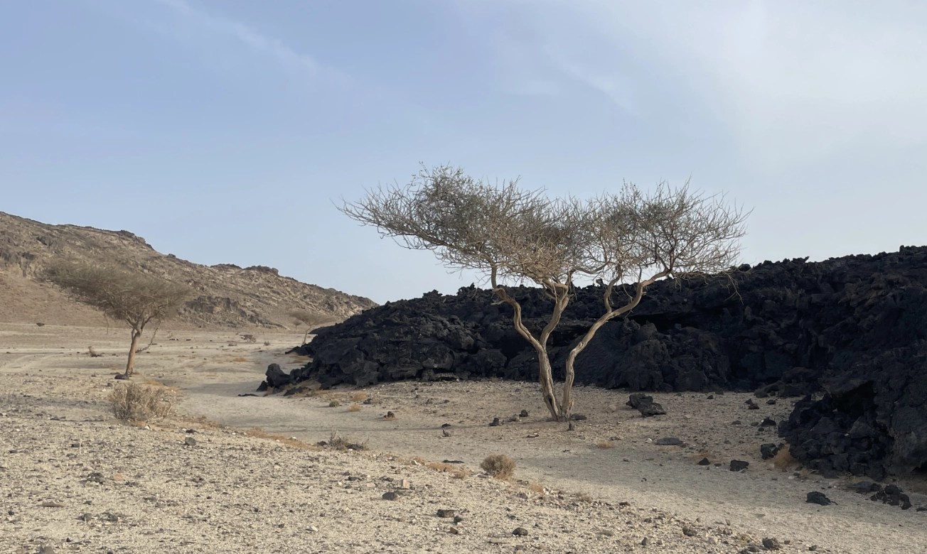 Environmental Impact Assessment for Large Scale Construction Dewatering