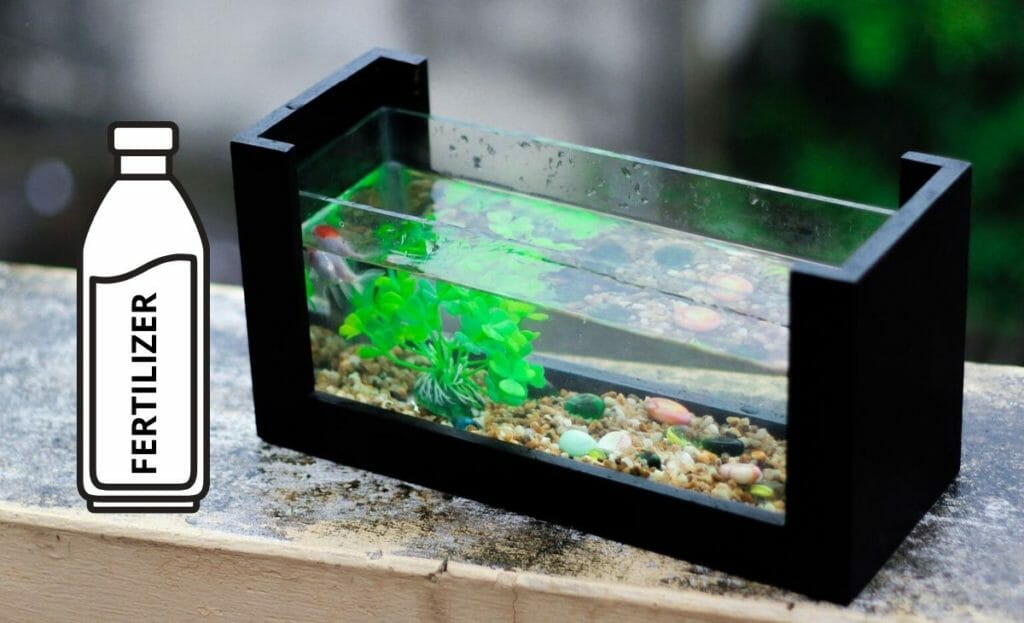 Can Aquarium Plants Live in Gravel? (Easy aquarium plants for gravel)