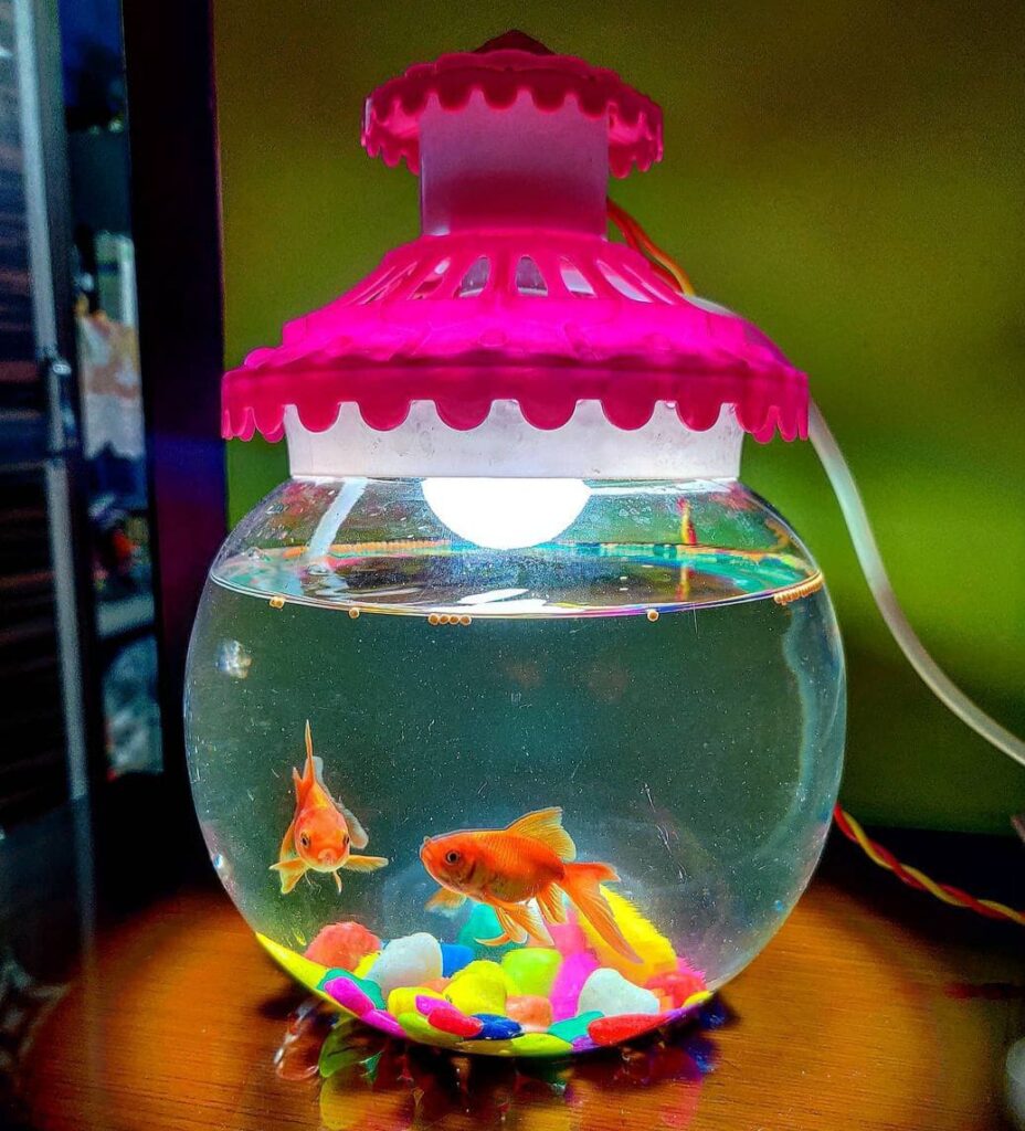 How many goldfish you can put in a tank? Aqua Life Expert