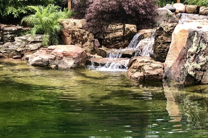 Pond Maintenance Services In Southern California (Maintenance Package)